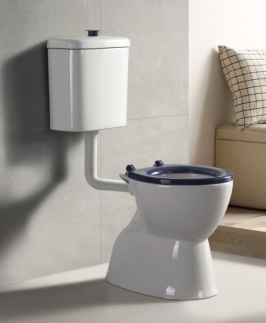 Commercial Disabled Toilet Suite - Bestcare
