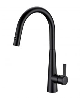 Sink Mixer with Pull Out Goose Neck Matte Black - Lorena